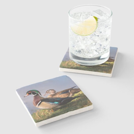 湖畔、アメリカオシ ストーンコースター (横)