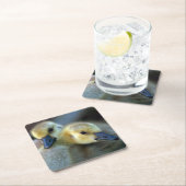 湖畔 スクエアペーパーコースター (インサイチュ)