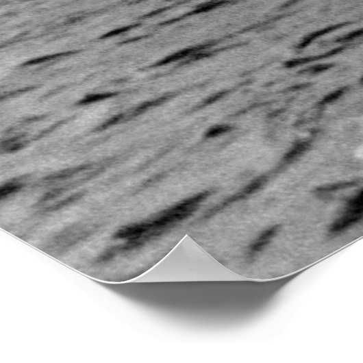 湖素晴らし旅客船イーストランド ポスター (角)