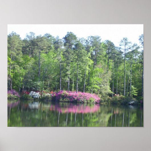 湖面 ポスター (正面)