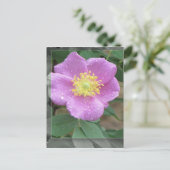 湖-ピンクによる花 ポストカード (スタンド正面)