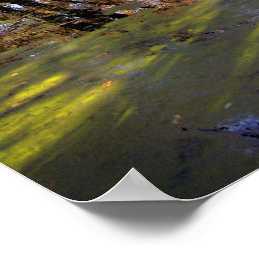 湖 ポスター (角)