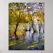 湖 ポスター (正面)