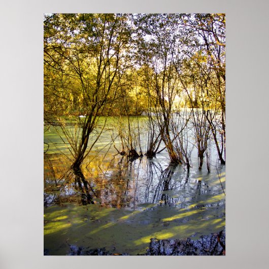 湖 ポスター (正面)