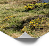 湖 ポスター (角)