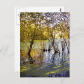 湖 ポストカード (正面/裏面)