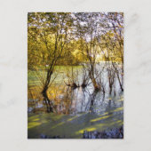 湖 ポストカード (正面)