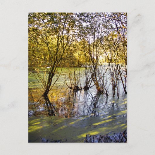 湖 ポストカード (正面)