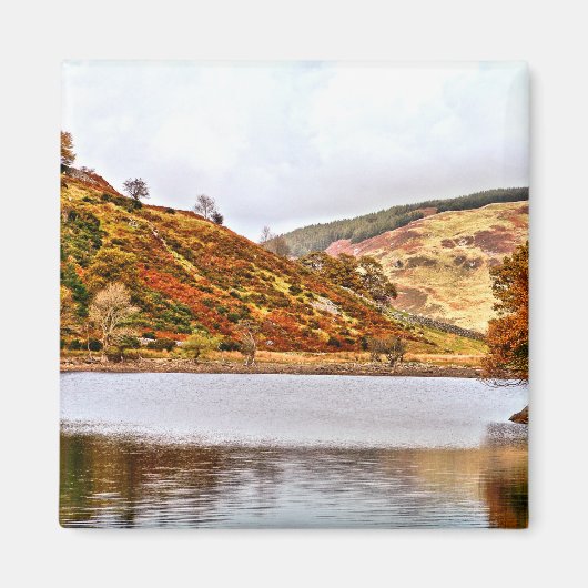 湖 マグネット (正面)