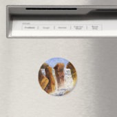 湖、小川、河川の磁石 マグネット (インサイチュ (食洗機))