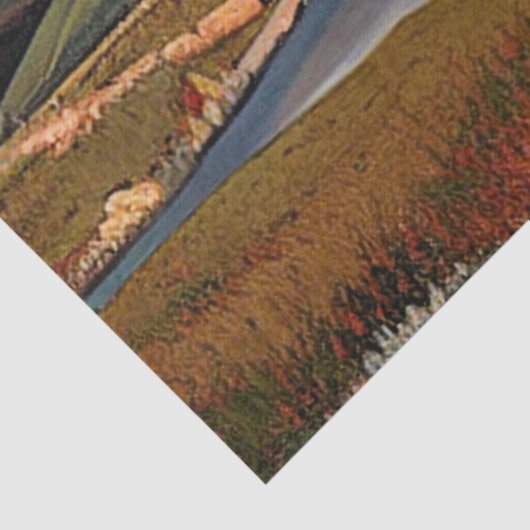 湖 薄葉紙 (詳細)