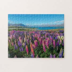 湖Tekapo  ニュージーランドのRussleのLupines ジグソーパズル