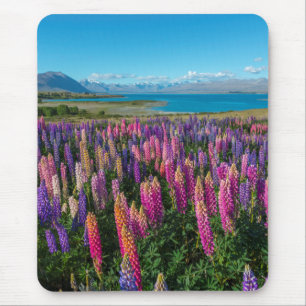 湖Tekapo ニュージーランドのRussleのLupines マウスパッド