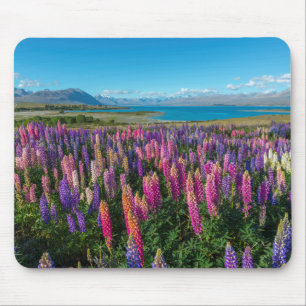 湖Tekapo ニュージーランドのRussleのLupines マウスパッド