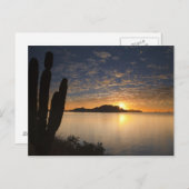 湾のイスラダンザンテ上空の日の出 ポストカード (正面/裏面)