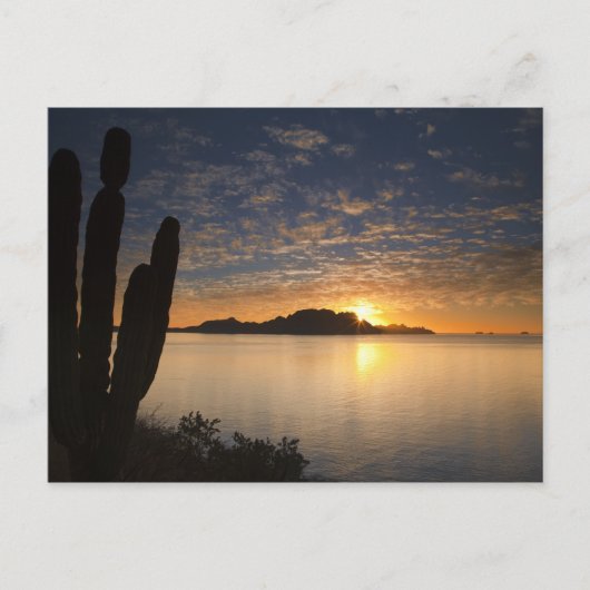 湾のイスラダンザンテ上空の日の出 ポストカード (正面)