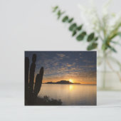 湾のイスラダンザンテ上空の日の出 ポストカード (スタンド正面)