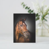 湾のサラブレッドのポートレート ポストカード (スタンド正面)