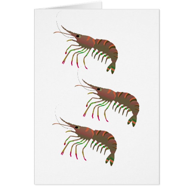 湾の中では (正面)