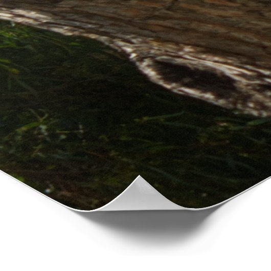 湾の景色 ポスター (角)