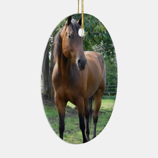 湾の純血種の馬のオーナメント セラミックオーナメント (右)