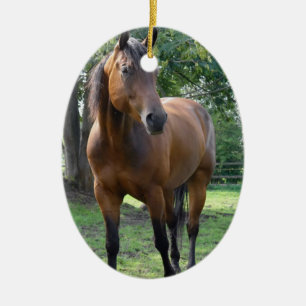 湾の純血種の馬のオーナメント セラミックオーナメント