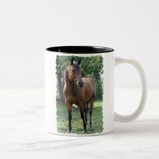 湾の純血種の馬のコーヒー・マグ ツートーンマグカップ (右)