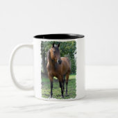 湾の純血種の馬のコーヒー・マグ ツートーンマグカップ (左)