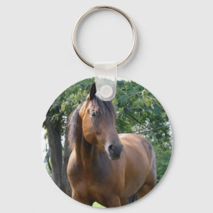 湾の純血種の馬Keychain キーホルダー