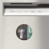 湾の群れが納屋から覗き込む マグネット (インサイチュ (食洗機))