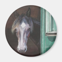 湾の群れが納屋から覗き込む