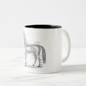 湾の解剖学のマグ ツートーンマグカップ (正面右)