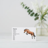 湾の跳躍の馬の名刺 名刺 (スタンド正面)