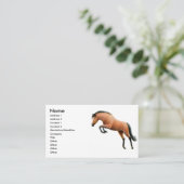 湾の跳躍の馬の名刺 名刺 (スタンド正面)