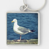 湾上のカモメ キーホルダー (正面)