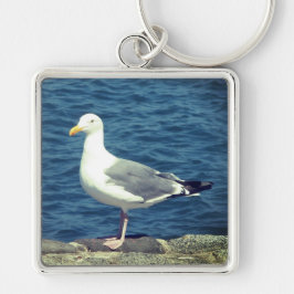湾上のカモメ キーホルダー