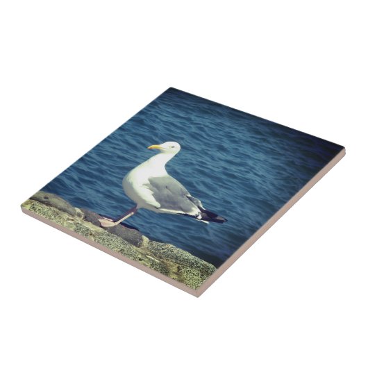 湾上のカモメ タイル (側面)