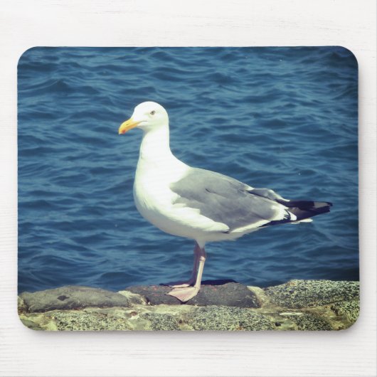 湾上のカモメ マウスパッド (正面)