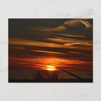 湾岸ショアーズ農園 ポストカード