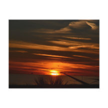 湾岸ショアーズ農園