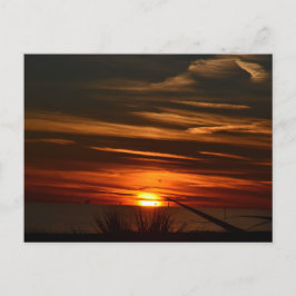 湾岸ショアーズ農園 ポストカード