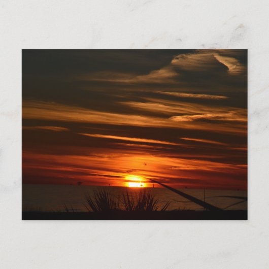 湾岸ショアーズ農園 ポストカード (正面)