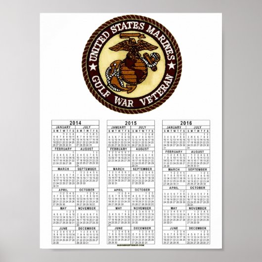 湾岸戦争獣医 ポスター (正面)