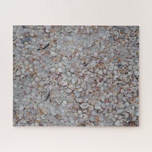 湾海岸の貝殻のビーチのパズル ジグソーパズル (横)