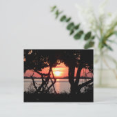 湾越しの日の出 ポストカード (スタンド正面)