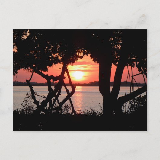 湾越しの日の出 ポストカード (正面)