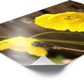 湿った太陽の光 フォトプリント            (角)