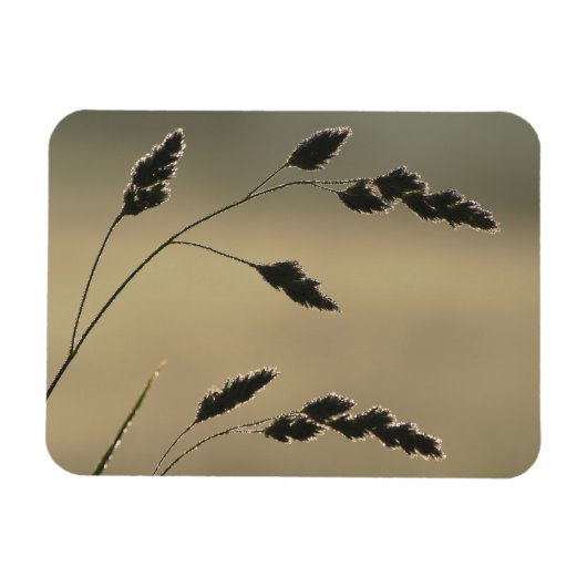 湿った草耳 マグネット (横)