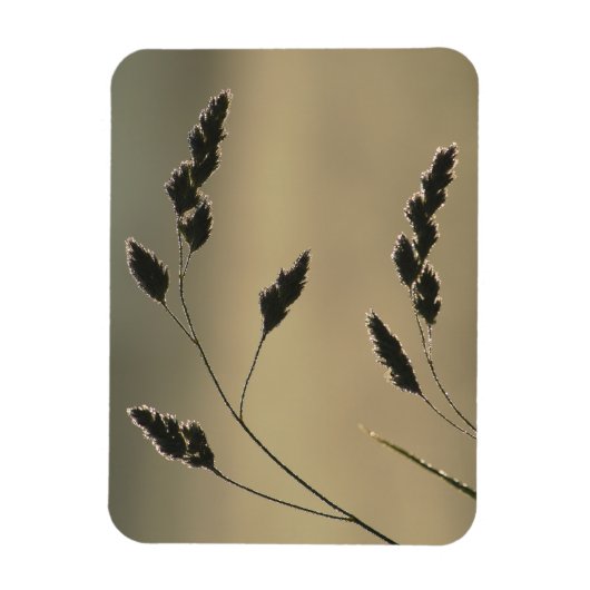 湿った草耳 マグネット (縦)