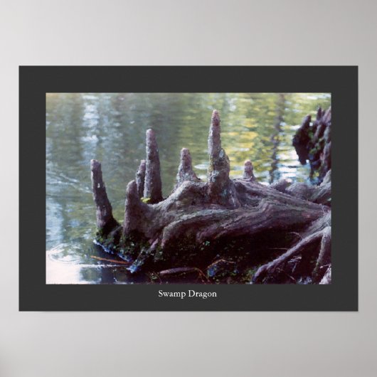 湿ドラゴン ポスター (正面)